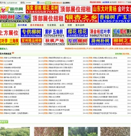 597苗木网