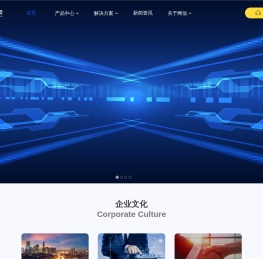 可信赖的数智化专家