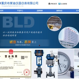重庆布莱迪仪器仪表有限公司