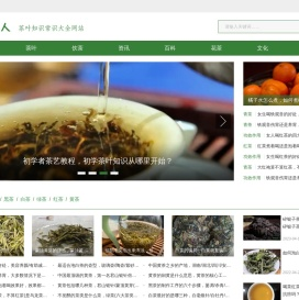 饮茶人