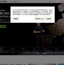 人工智能计算领域的领导者