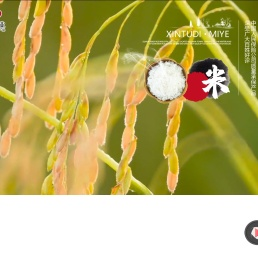 绥化市鑫土地米业有限公司,鑫土地米业,绥化大米,秦家大米,黑土平原,绥鑫大米,黑龙江大米