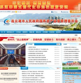 连云港市人民政府国有资产监督管理委员会
