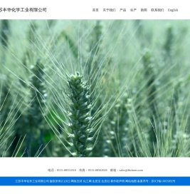 江苏丰华化学工业有限公司