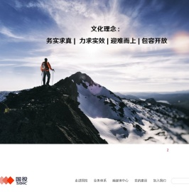 国家开发投资公司