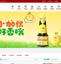 加加食品集团股份有限公司,酱油,食品公司,加加食品,调味食品,粮油食品