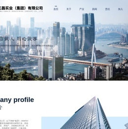 重庆三磊实业(集团)有限公司