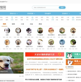 宠搜网