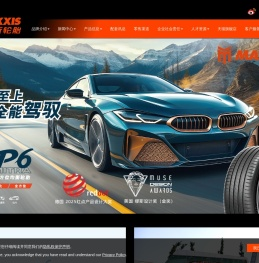 正新橡胶（中国）有限公司