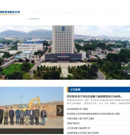 山东丰源生物质发电股份公司