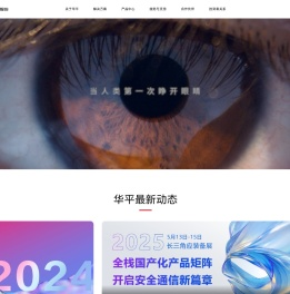 华平信息技术股份有限公司