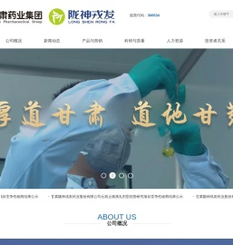 甘肃陇神戎发药业股份有限公司