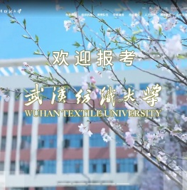 武汉纺织大学官方主页