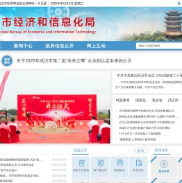 武汉市经济和信息化局