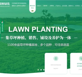 新乡百慕大草坪批发