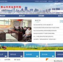 鞍山市农业农村局