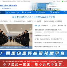 广西柳州市行政审批局网站