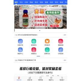 鸡蛋信息网