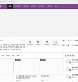 环球钢琴网