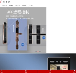 广州迪缦斯电子有限公司