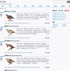 震旦鸟网