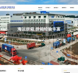 深圳市真力国际货运代理有限公司