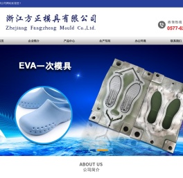 浙江方正模具有限公司专业生产单