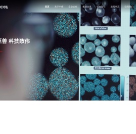 湖南中伟控股集团有限公司