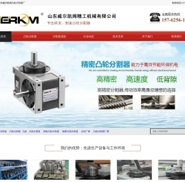 凸轮分割器