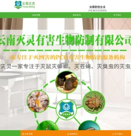 昆明除四害