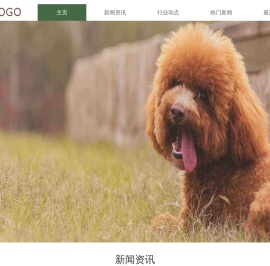 新风景宠物网
