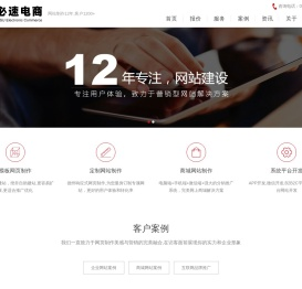 德州网络公司