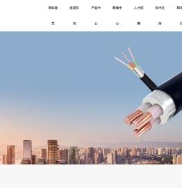 东风线缆集团股份有限公司