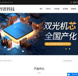 武汉智谱科技有限公司官网