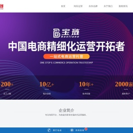 淘宝代运营公司