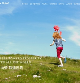 新星联实业集团有限公司