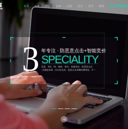 账联网络智能竞价
