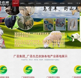 广圣实业集团