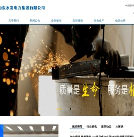 山东水发电力集团有限公司