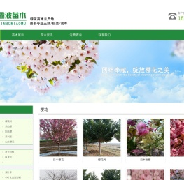 山东泰安樱花价格:染井吉野樱