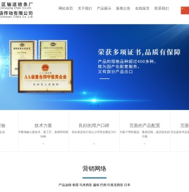专业链条输送链