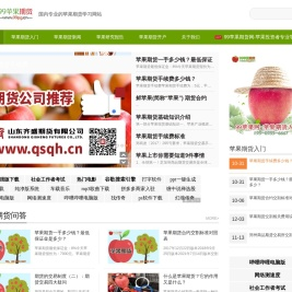 99苹果期货网
