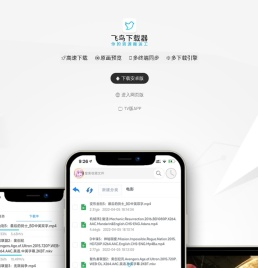 飞鸟下载器
