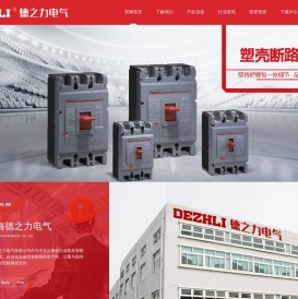 上海德之力电气有限公司