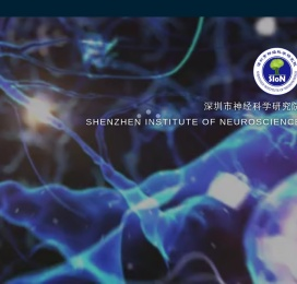 深圳市神经科学研究院