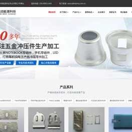 精密