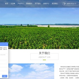椴树