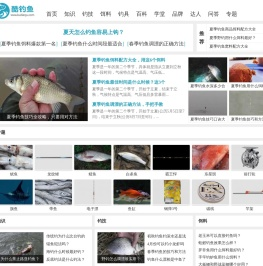 酷钓鱼