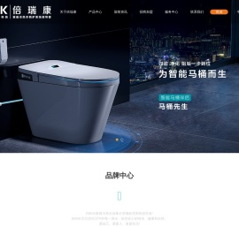 倍瑞康过滤器