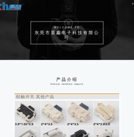 东莞市晨鑫电子科技有限公司